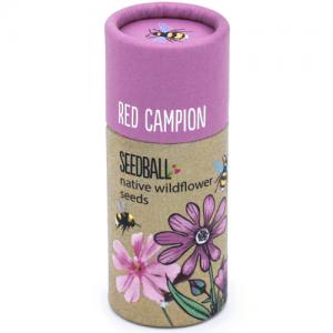 Seedball Red Campion Seed Tube